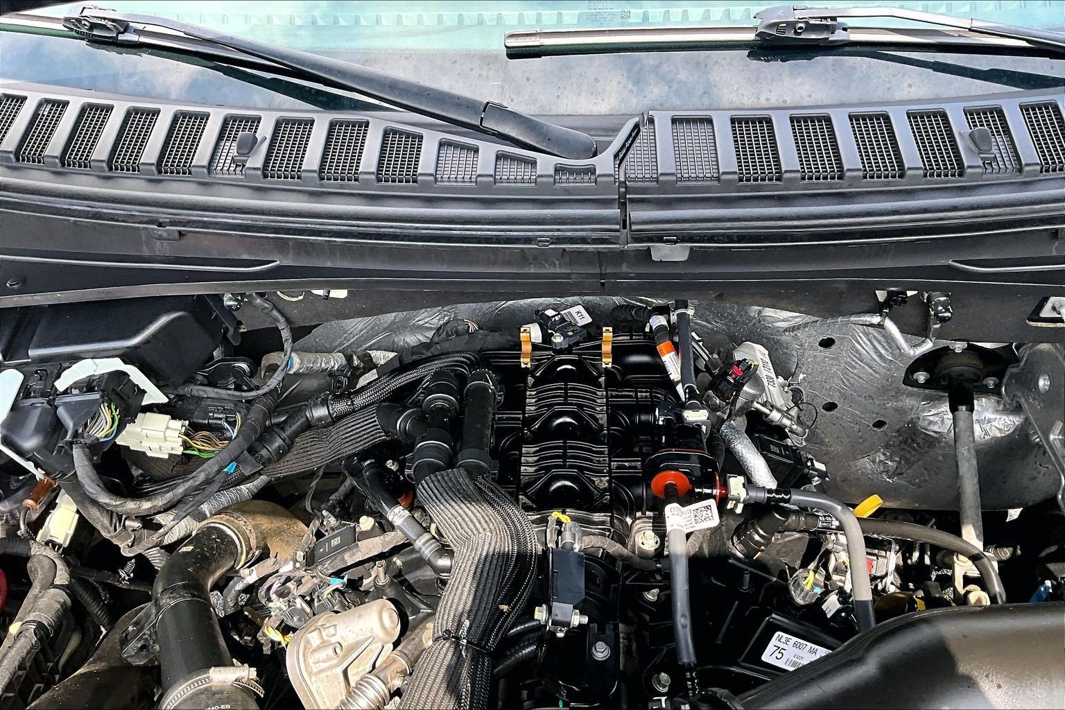 2023 Ford Expedition Max XLT