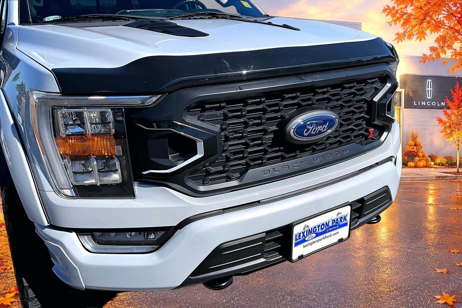 2022 Ford F-150 Black Widow