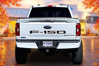 2022 Ford F-150 Black Widow