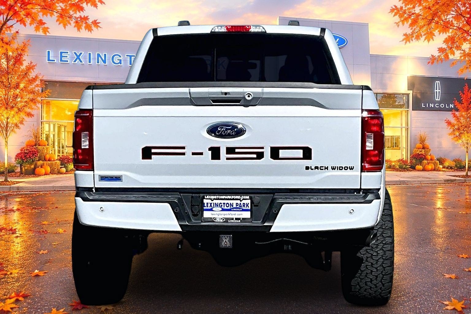 2022 Ford F-150 Black Widow