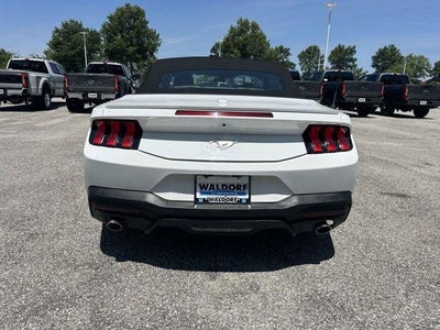 2025 Ford Mustang EcoBoost Convertible