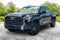 2023 Toyota Tundra 4WD Platinum