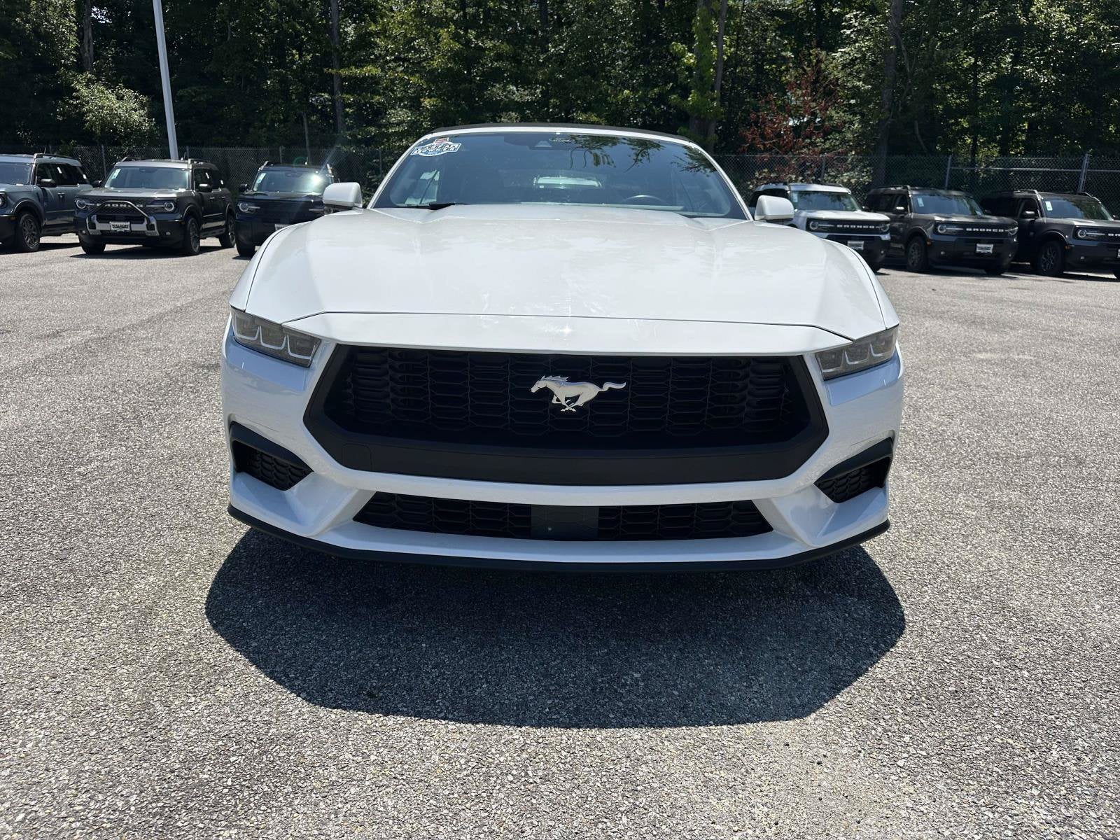 2025 Ford Mustang EcoBoost