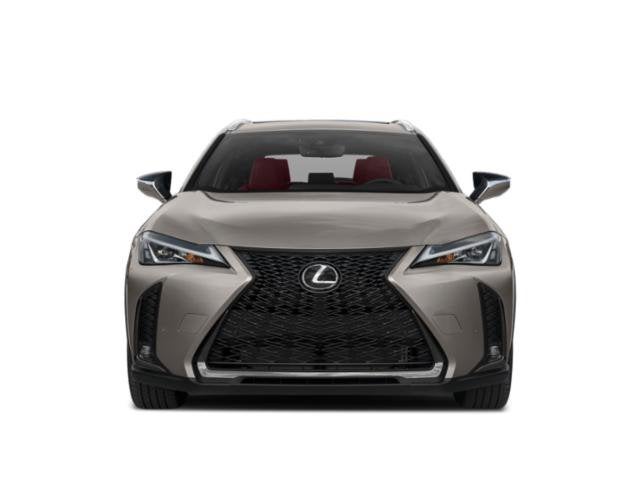 2019 Lexus UX UX 200 F SPORT