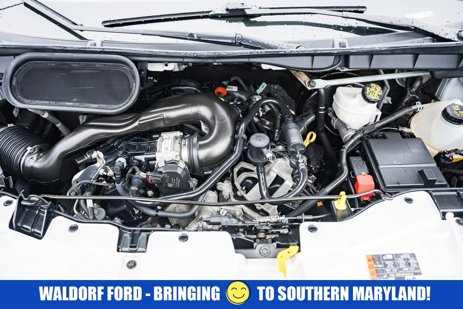 2023 Ford Transit Passenger Wagon 350